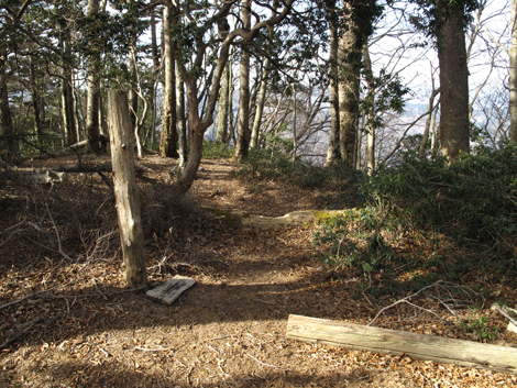 20190108hike (295)